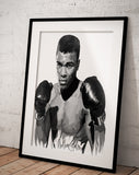 Muhammad Ali Design