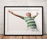 Scott Brown Design