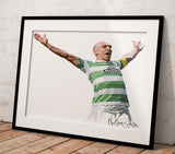 Scott Brown Design